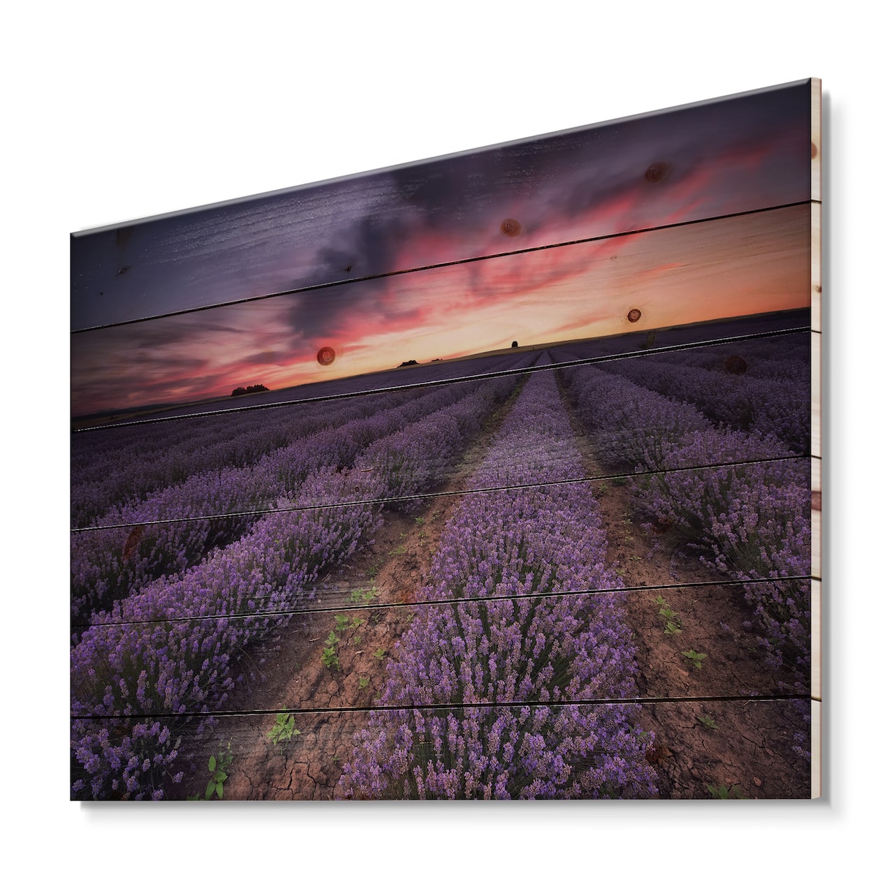 Designart - Sunrise & Dramatic Clouds Over Lavender Field IX - Farmhouse Print on Natural Pine Wood